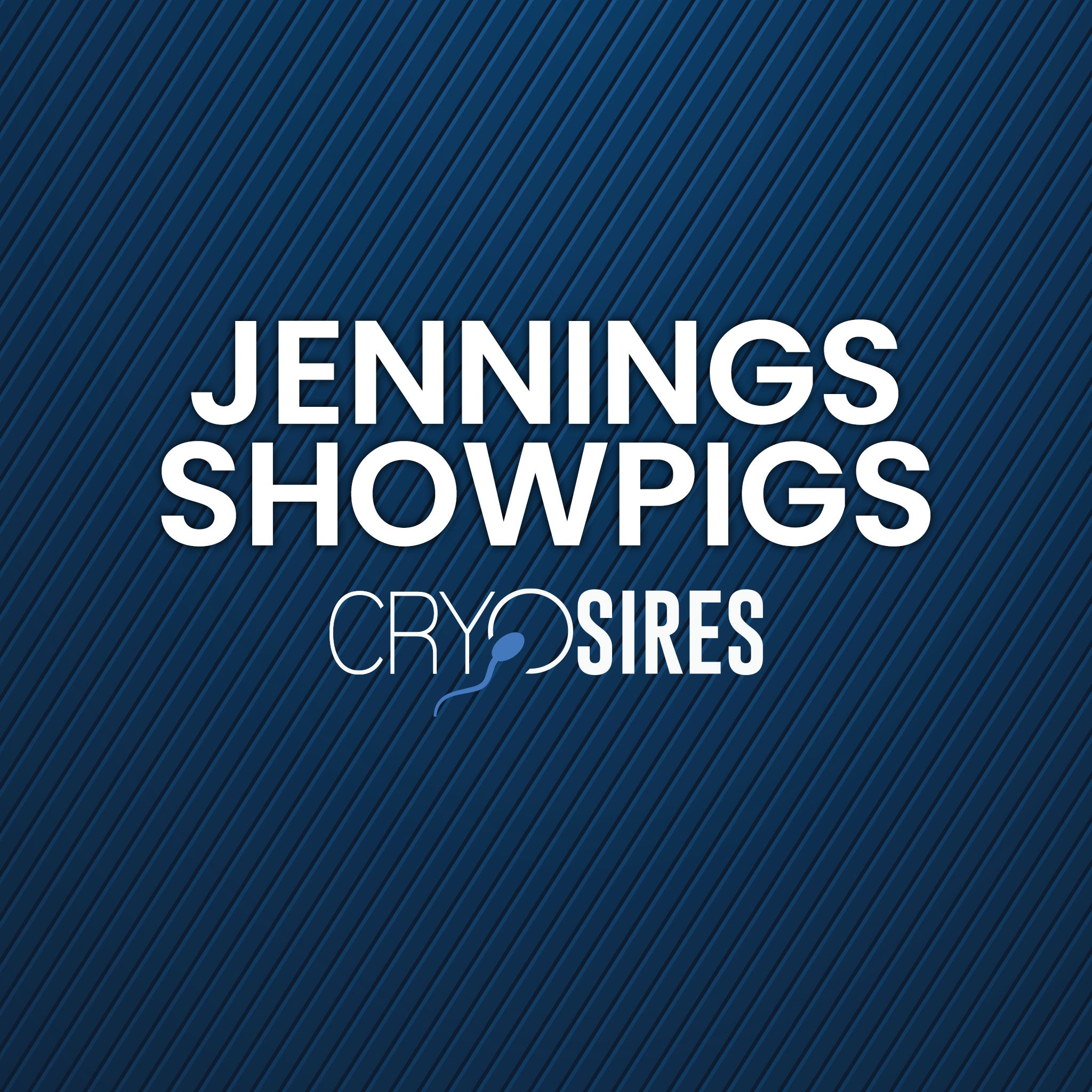 Jennings Showpigs