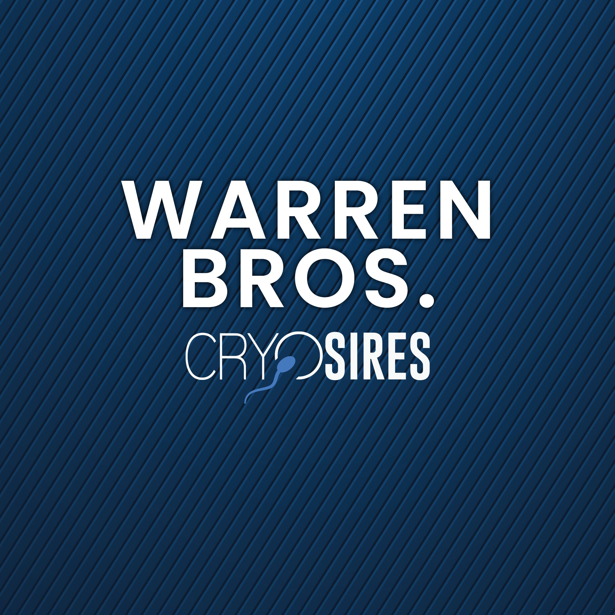 Warren Bros