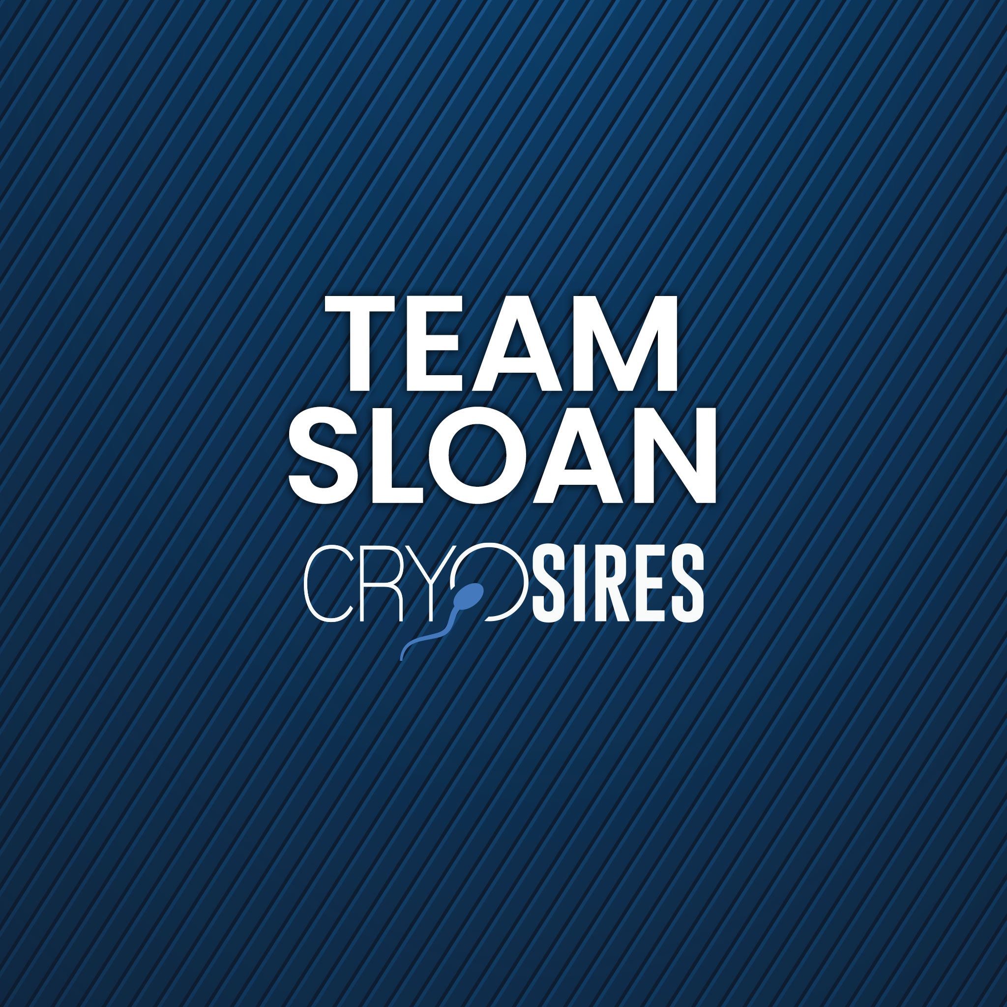 Team Sloan