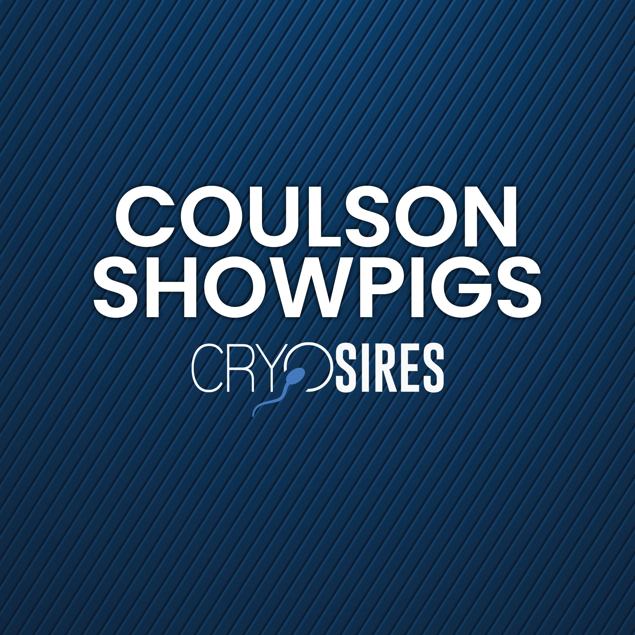 Coulson Showpigs