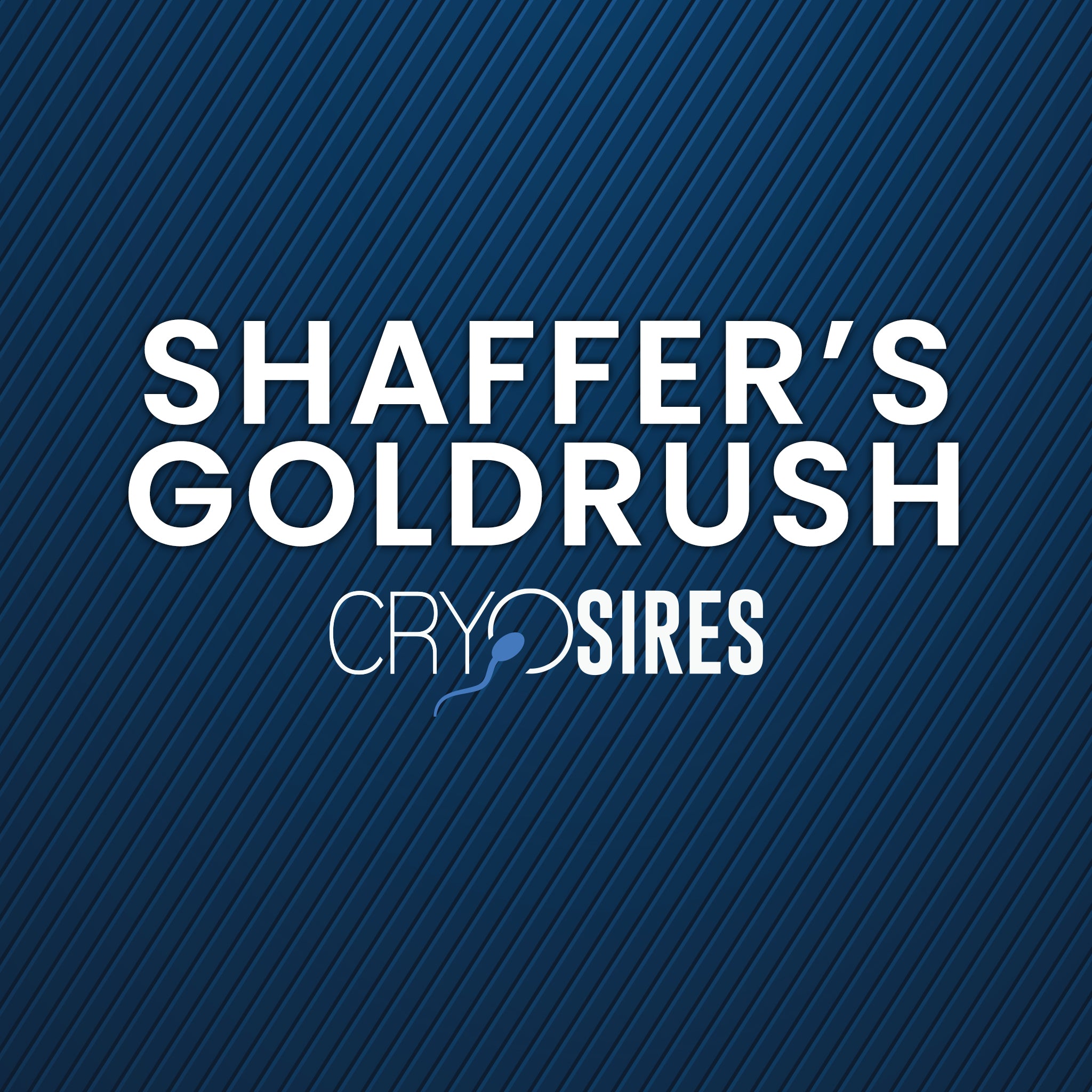 Shaffer's Goldrush