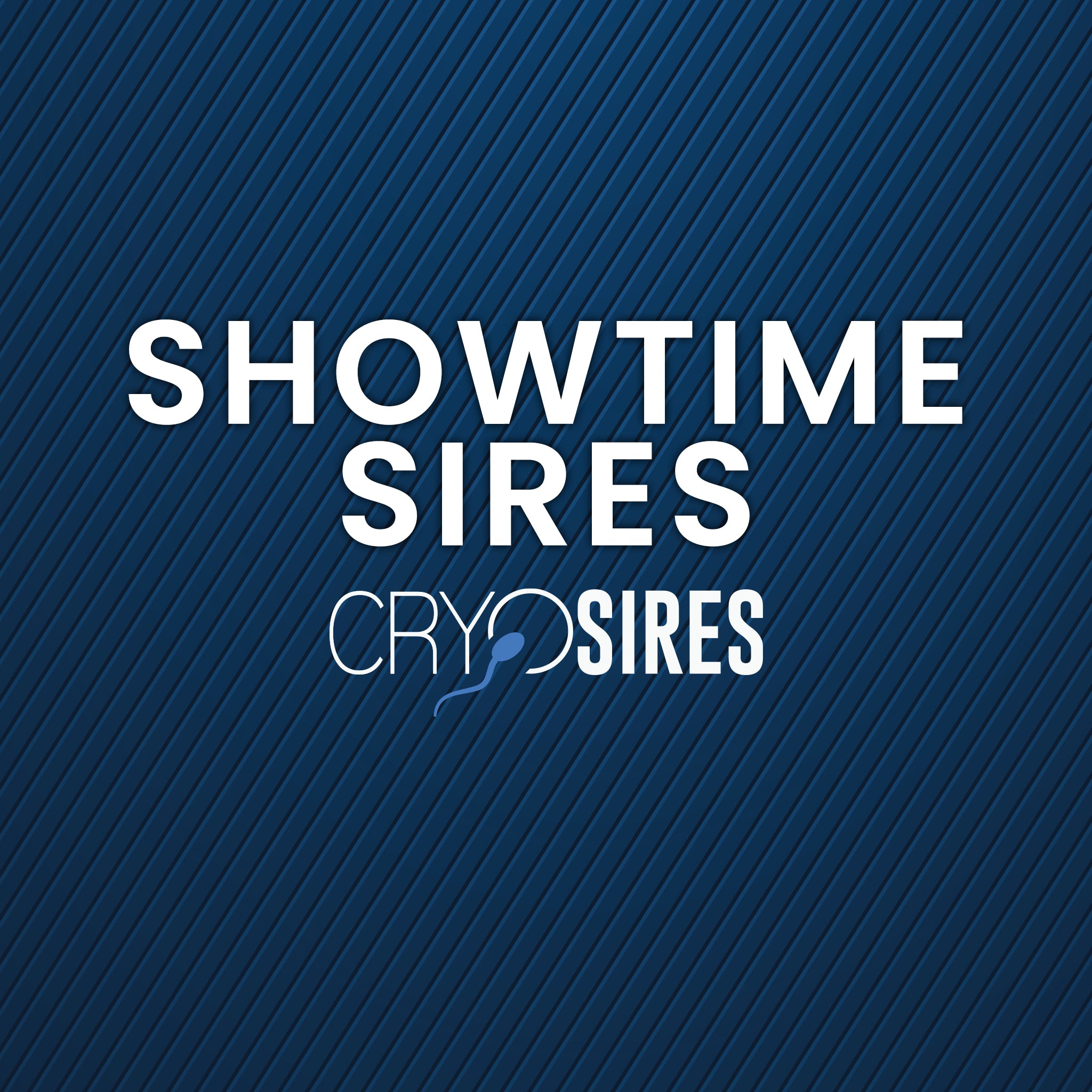 Showtime Sires