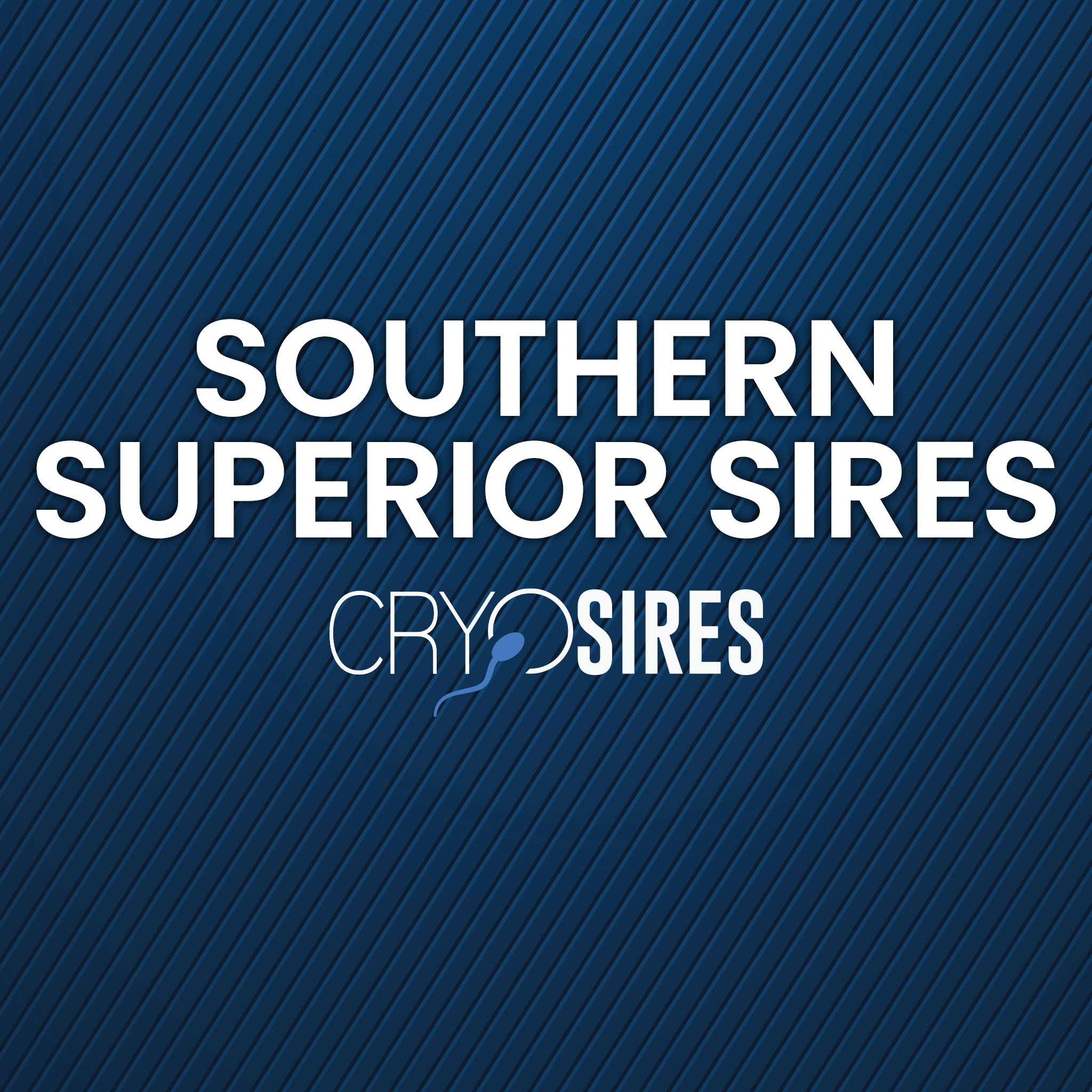 Southern Superior Sires