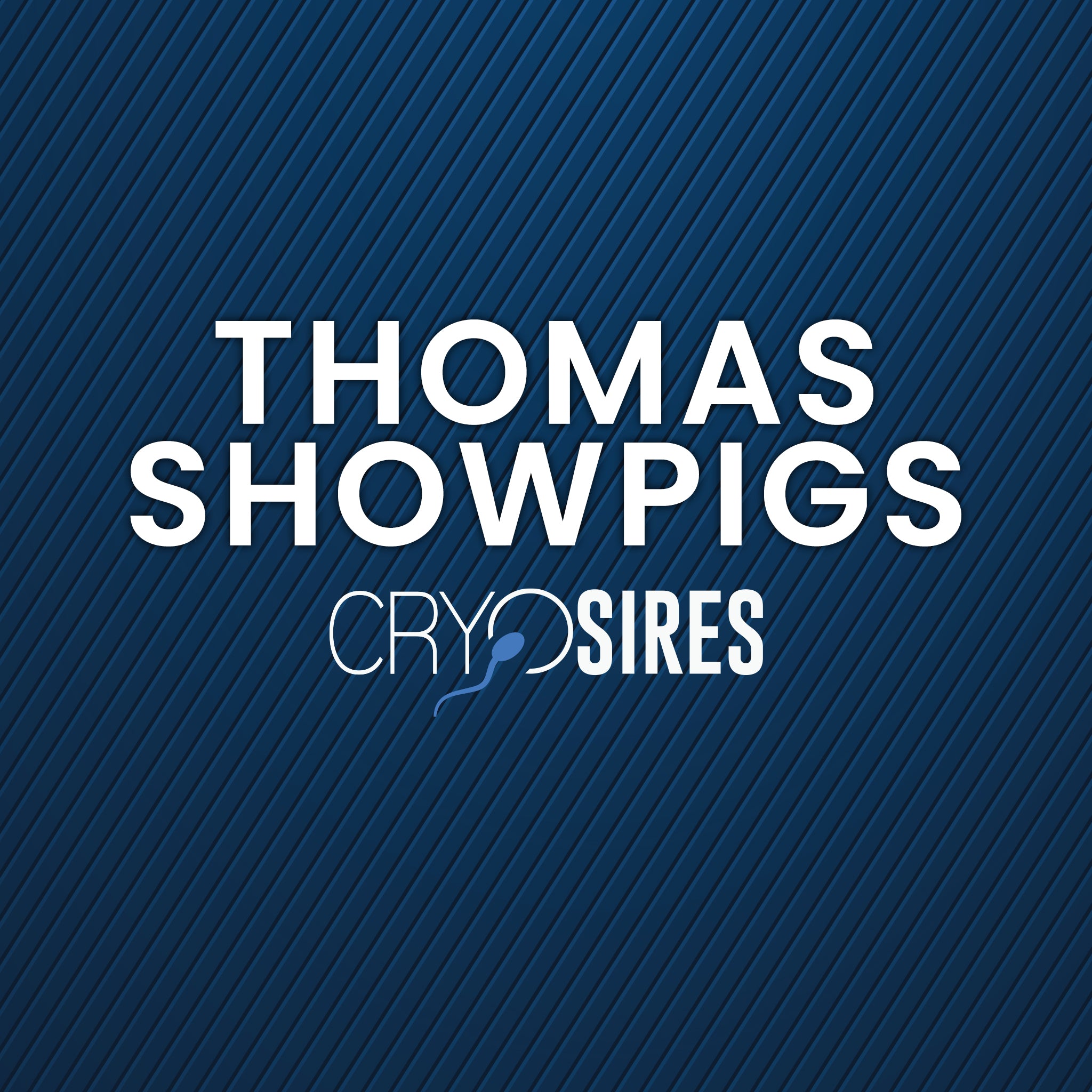 Thomas Showpigs
